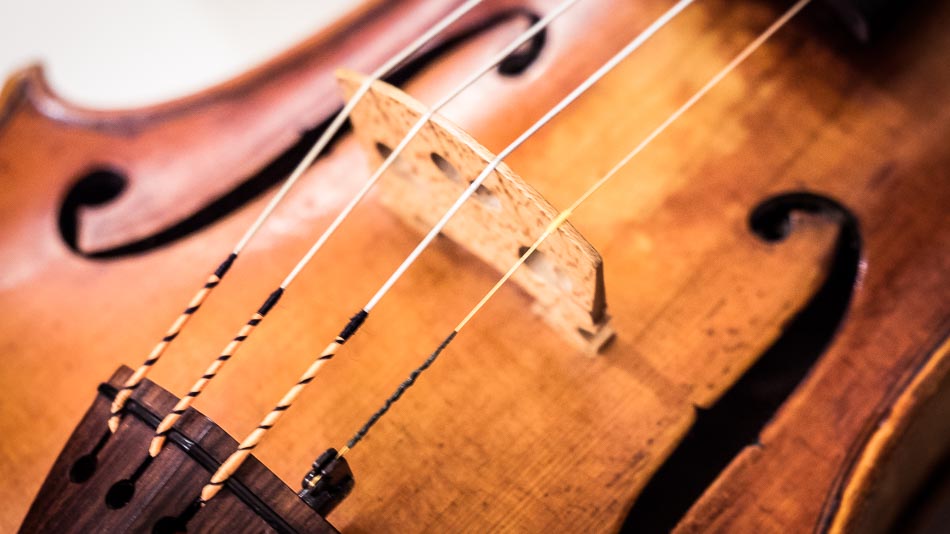Close up of violin bridge and f hole